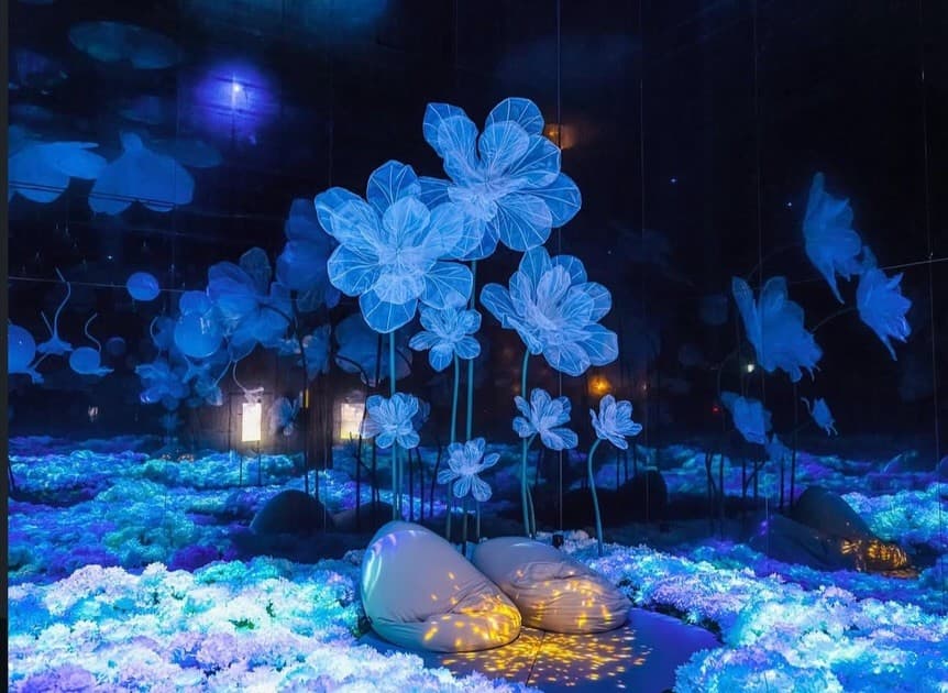 The Healing Garden of Gods, Taean — visitors' cushions rest in a field of glowing flowers beneath translucent blossom sculptures